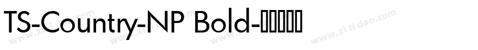 TS-Country-NP Bold字体转换
